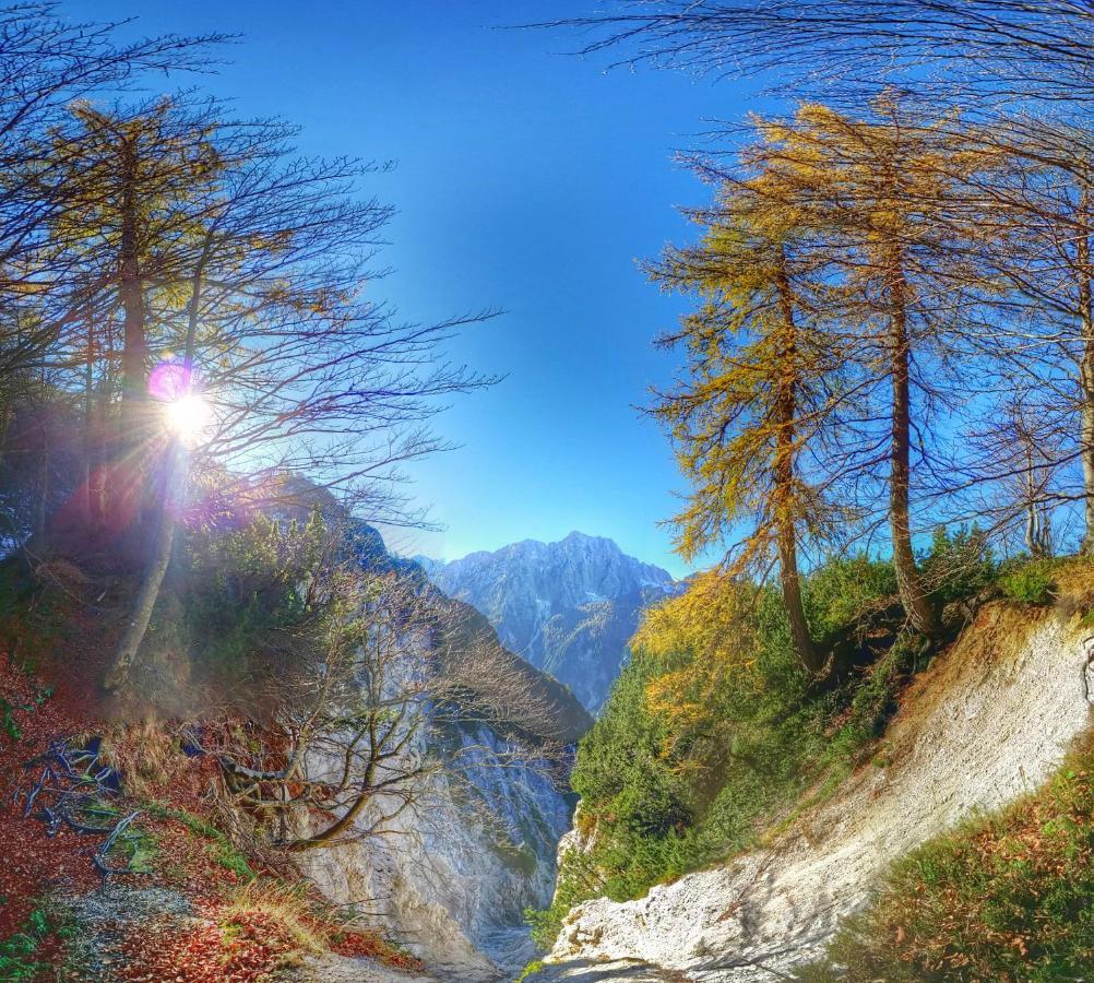 Vitranc Boutique Hotel Kranjska Gora Dış mekan fotoğraf